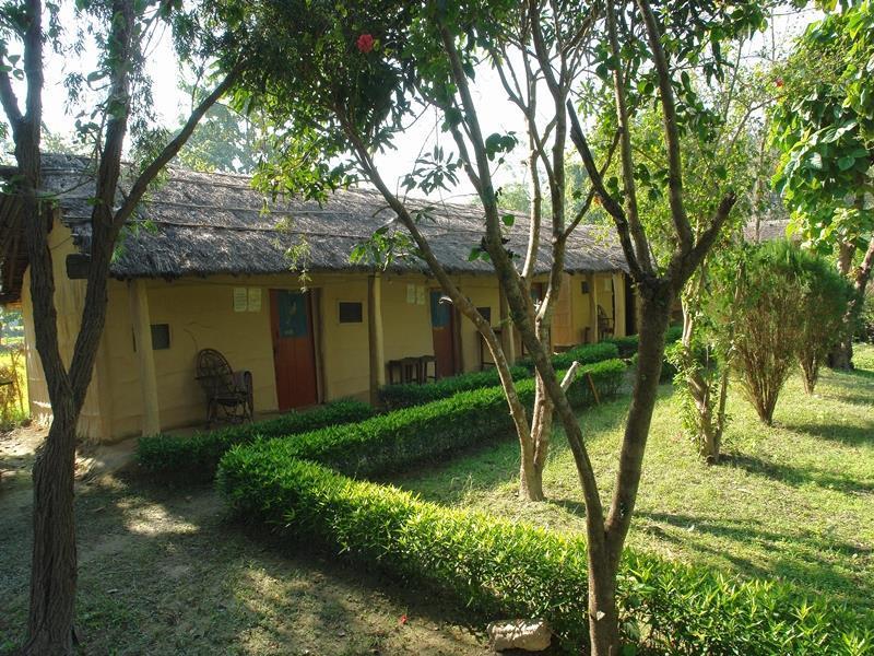 Forest Hideaway Resort Pvt Ltd Bardiya Exterior photo