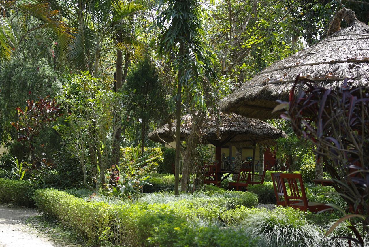 Forest Hideaway Resort Pvt Ltd Bardiya Exterior photo