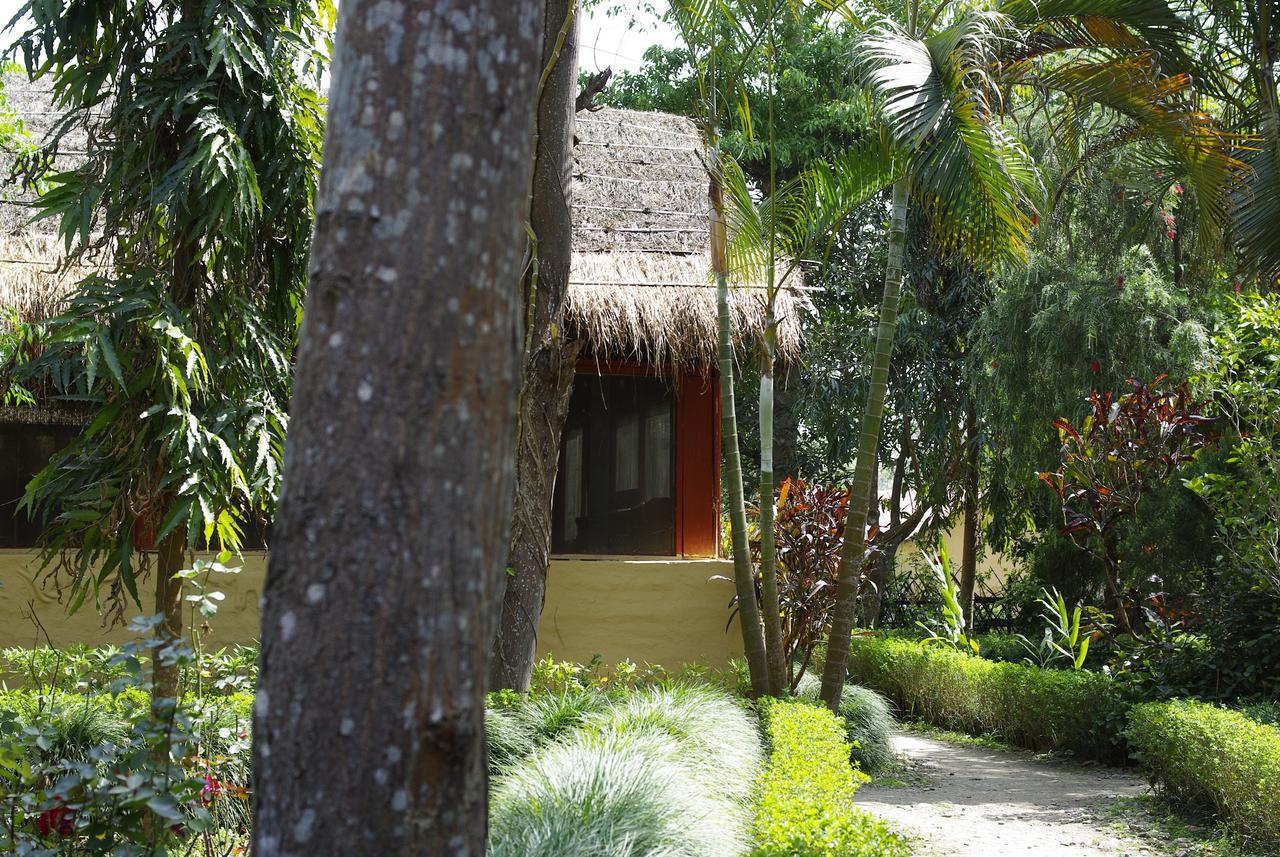 Forest Hideaway Resort Pvt Ltd Bardiya Exterior photo